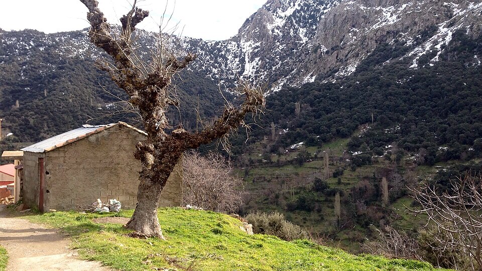 Village kabyle sous la neige au pied du Djurdjura