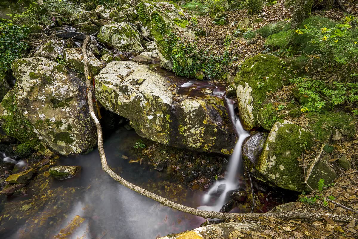 Cascade dans la forêt de Yakourène, en Kabylie